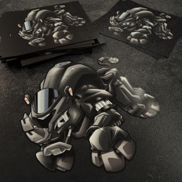 Kawasaki Ninja ZX-10R Inspired Stickers - Set of 3 Motorcycle Decals for Riders