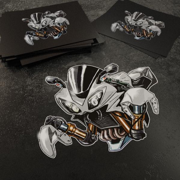 Kawasaki Ninja ZX-10R Inspired Stickers - Set of 3 Motorcycle Decals for Riders