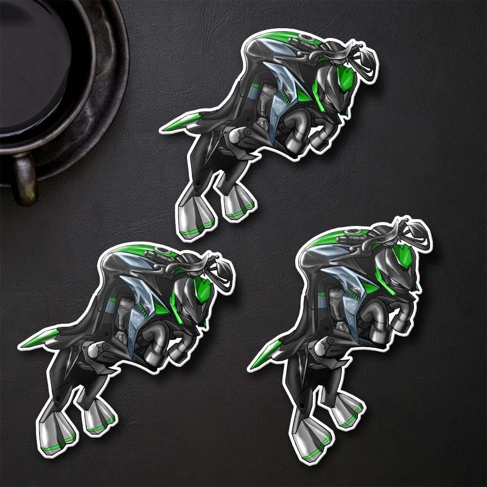 Kawasaki Z 1000 2017-20 Inspired Stickers - Set of 3 Motorcycle Decals for Riders