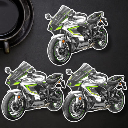 Kawasaki ZX-10R 2023-24 Stickers - Set of 3 Motorcycle Decals for Riders