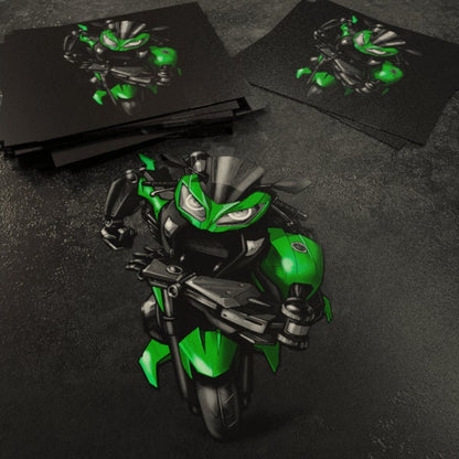 Kawasaki Ninja 300 Inspired Stickers - Set of 3 Motorcycle Decals for Riders