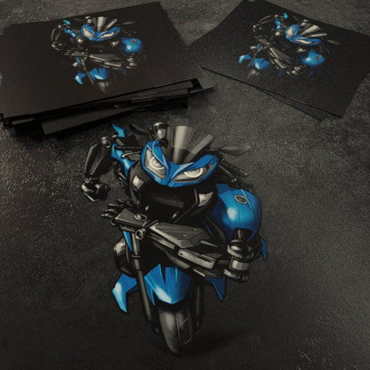 Kawasaki Ninja 300 Inspired Stickers - Set of 3 Motorcycle Decals for Riders