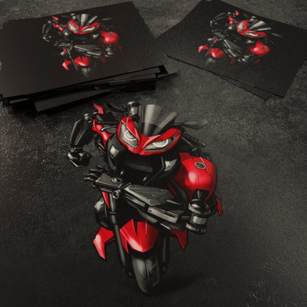 Kawasaki Ninja 300 Inspired Stickers - Set of 3 Motorcycle Decals for Riders