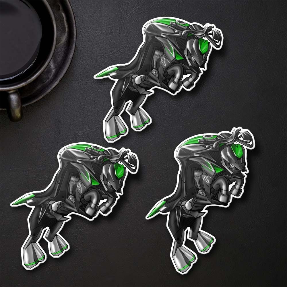 Kawasaki Z 1000 2017-20 Inspired Stickers - Set of 3 Motorcycle Decals for Riders