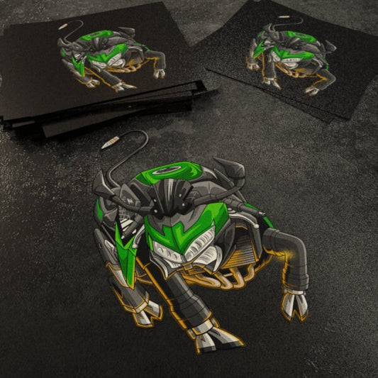 Kawasaki Z 900 Inspired Stickers - Set of 3 Motorcycle Decals for Riders