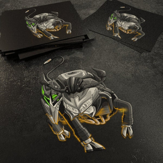 Kawasaki Z 900 Inspired Stickers - Set of 3 Motorcycle Decals for Riders