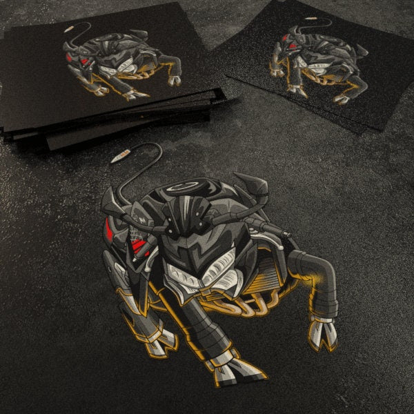 Kawasaki Z 900 Inspired Stickers - Set of 3 Motorcycle Decals for Riders