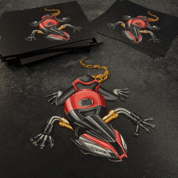 Kawasaki Ninja ZX-10R Inspired Stickers - Set of 3 Motorcycle Decals for Riders