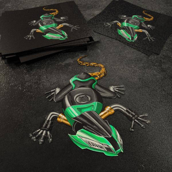 Kawasaki Ninja ZX-10R Inspired Stickers - Set of 3 Motorcycle Decals for Riders