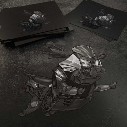 Kawasaki KLR650 2011-14 Inspired Stickers - Set of 3 Motorcycle Decals for Riders