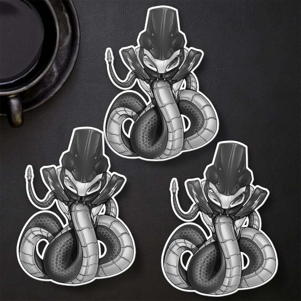 BMW F900XR Inspired Stickers - Set of 3 Motorrad Motorcycle Decals