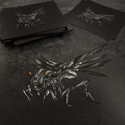 Ducati 749 & 999 Superbike Stickers - Set of 3 Motorcycle Decals for Riders