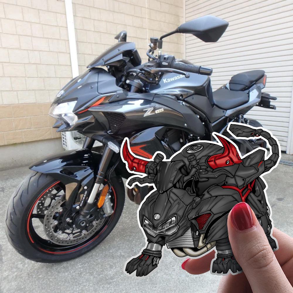 Kawasaki ZH2 & SE 2023-25 Stickers - Set of 3 Motorcycle Decals for Riders