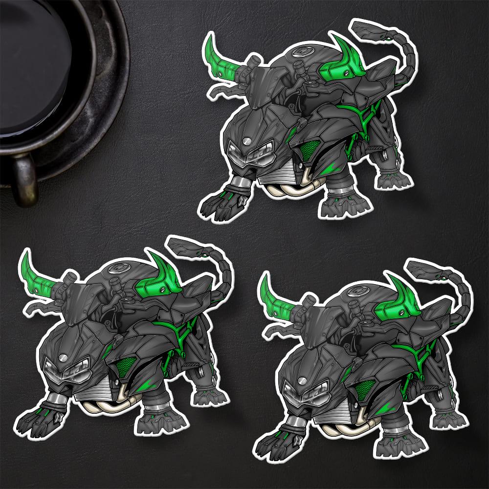 Kawasaki ZH2 & SE 2023-25 Stickers - Set of 3 Motorcycle Decals for Riders